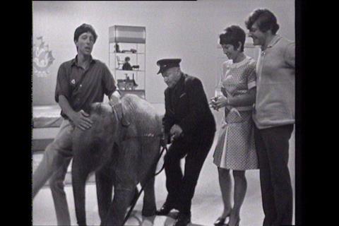 blue_peter_elephant_1969